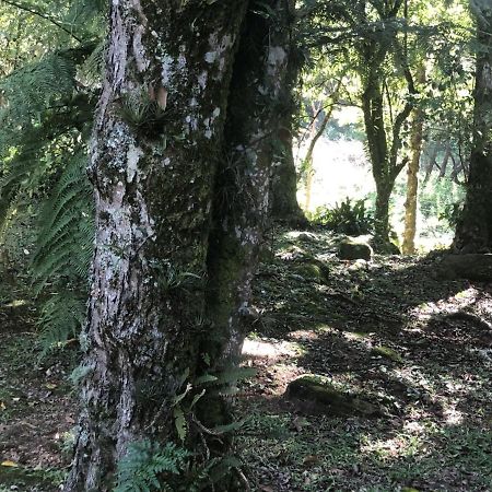 São Francisco de Paula Refugio Da Natureza מראה חיצוני תמונה