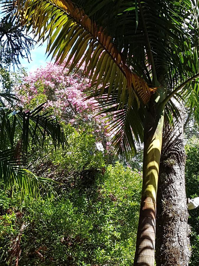 São Francisco de Paula Refugio Da Natureza מראה חיצוני תמונה